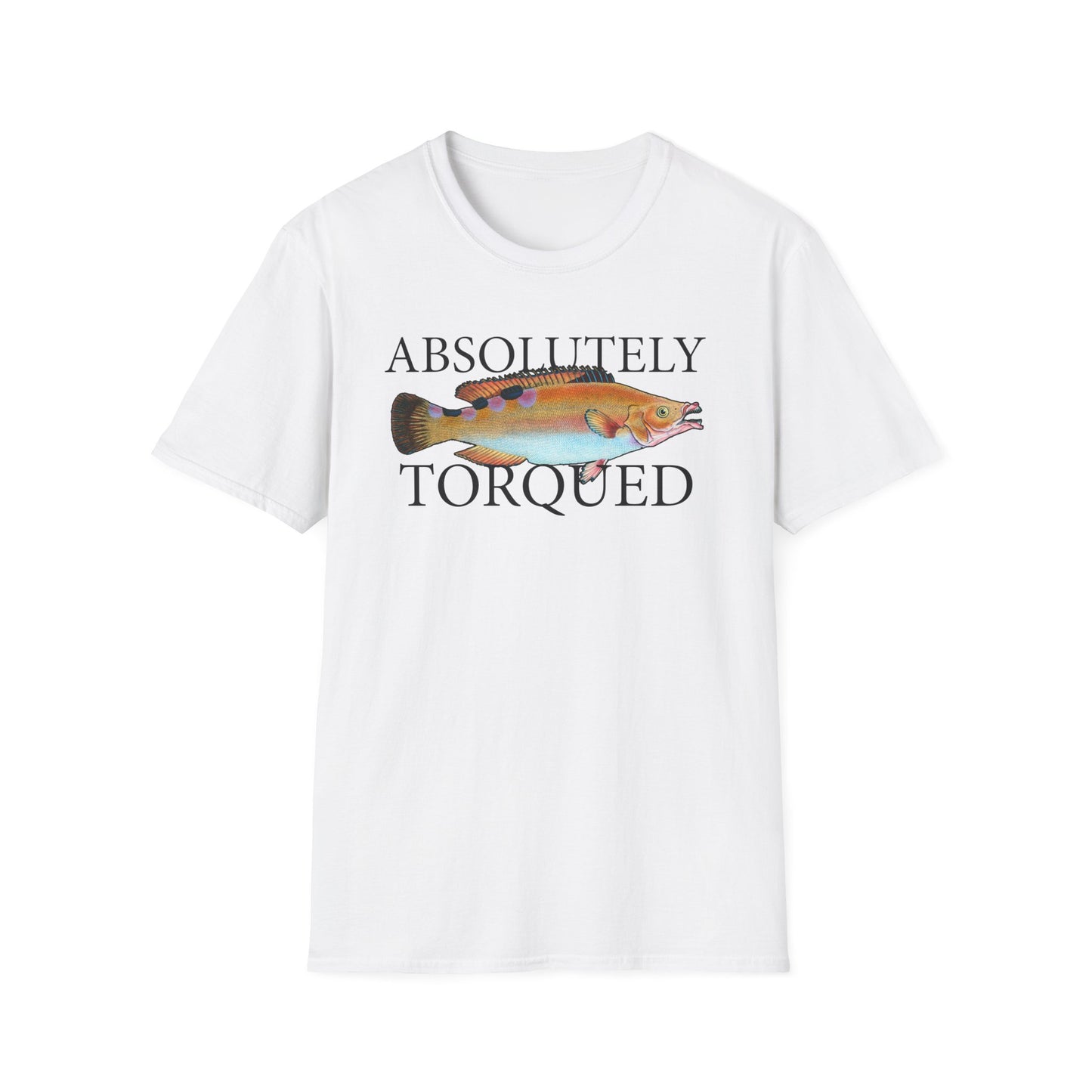 Absolutely Torqued