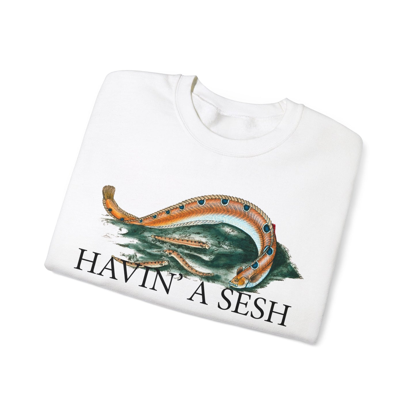 Havin' a Sesh - Warmer Edition