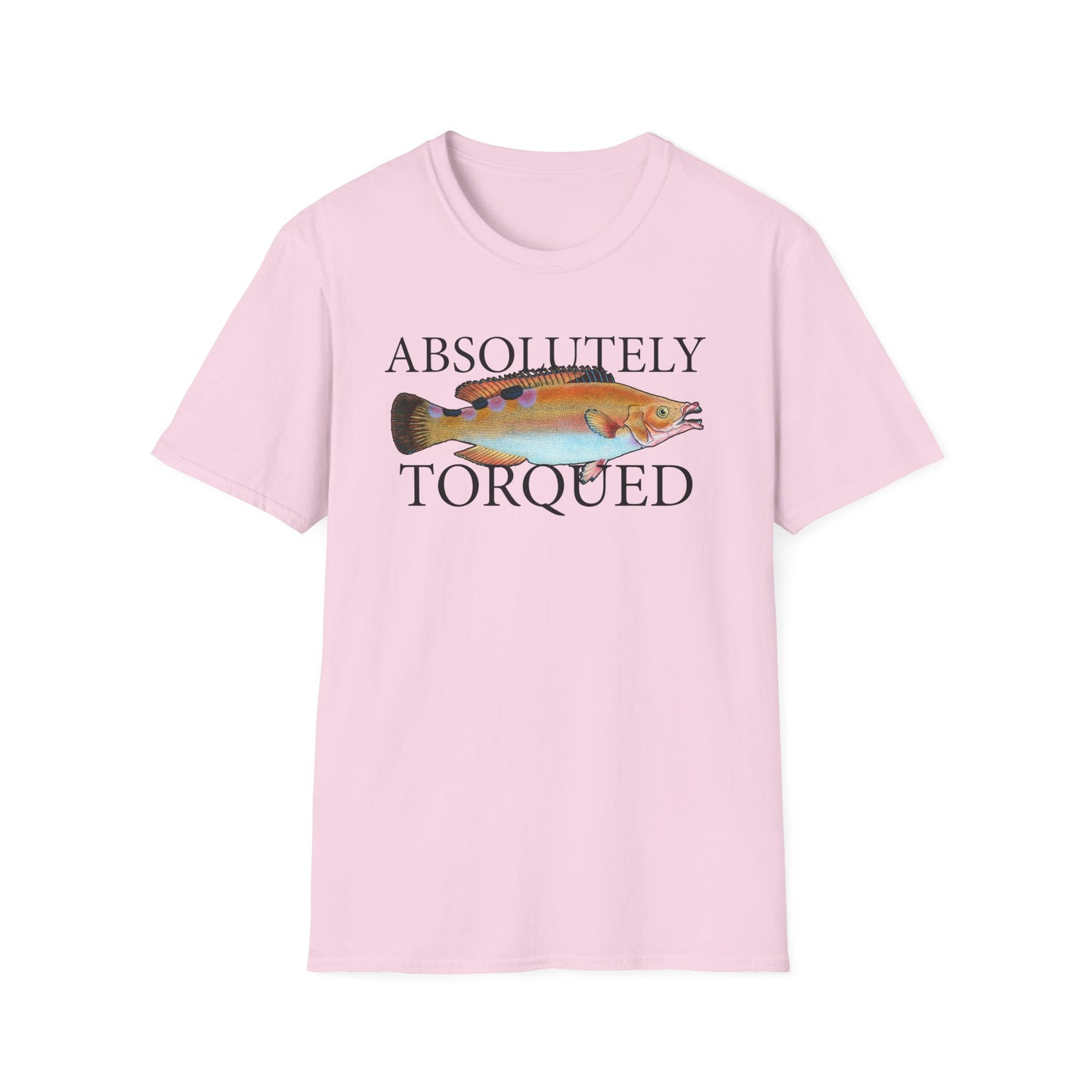 Absolutely Torqued