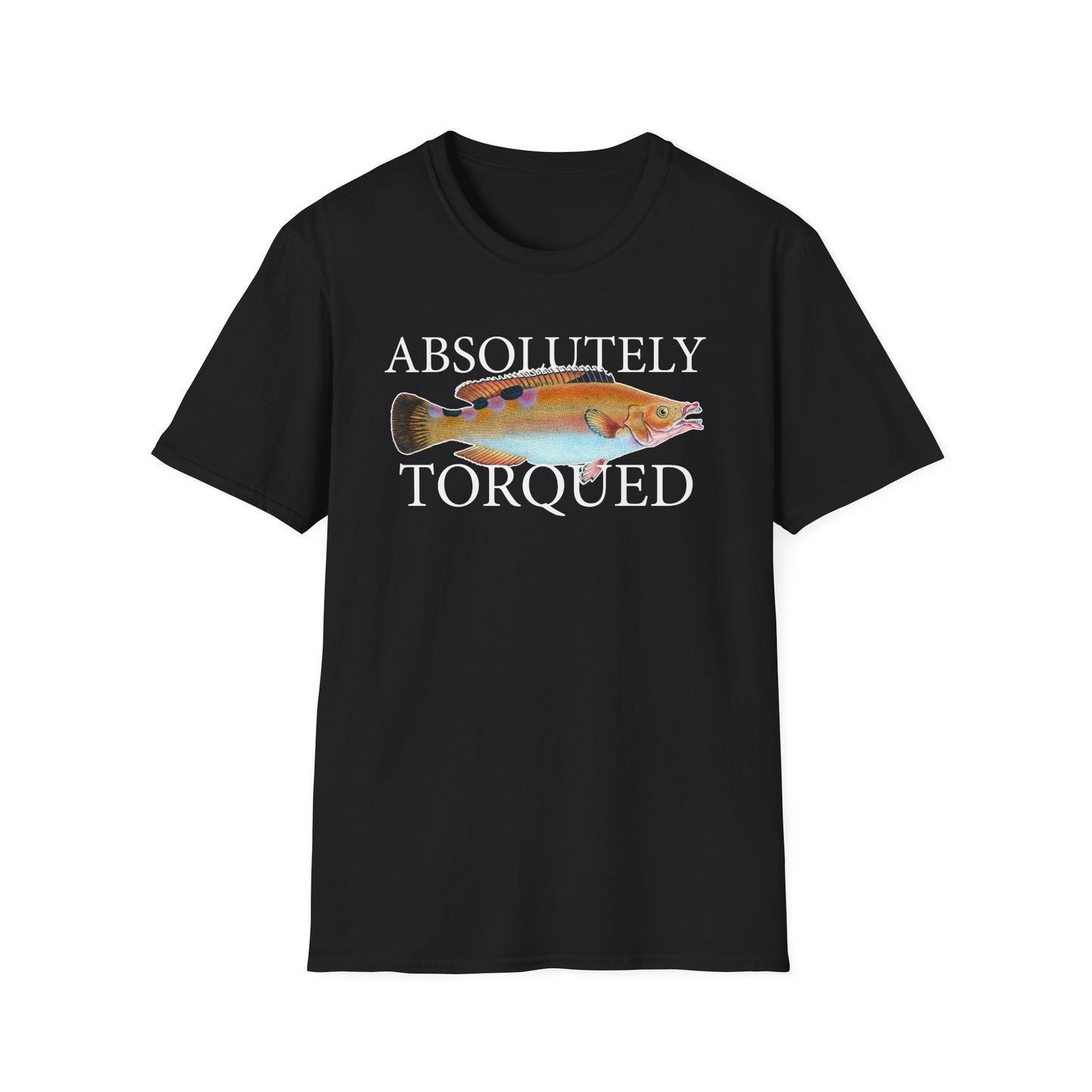 Absolutely Torqued