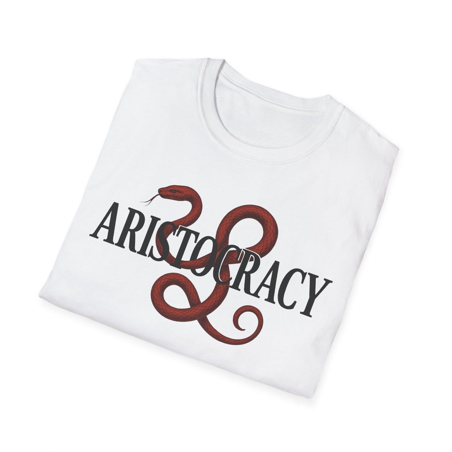 Aristocracy